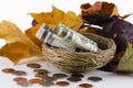 Fall Savings Royalty Free Stock Photo