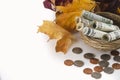 Fall Savings Royalty Free Stock Photo