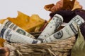 Fall Savings Royalty Free Stock Photo