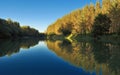 Fall Scene and Trees Autumn Reflection on Danube river Royalty Free Stock Photo