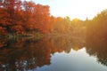 Fall color trees line with symmetrical reflection in a still and quiet lake in Autumn Royalty Free Stock Photo
