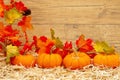 Fall scene with orange pumpkins and fall leaves on straw hay with weathered wood background Royalty Free Stock Photo