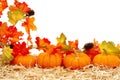 Fall scene with orange pumpkins and fall leaves on straw hay isolated over white Royalty Free Stock Photo