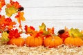 Fall scene with orange pumpkins and fall leaves on straw hay with weathered whitewash wood background