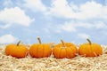 Fall scene with orange pumpkins on straw hay with sky background Royalty Free Stock Photo