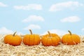 Fall scene with orange pumpkins on straw hay with sky background Royalty Free Stock Photo