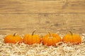 Fall scene with orange pumpkins on straw hay with weathered wood background Royalty Free Stock Photo