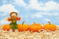 Fall scene with scarecrow and orange pumpkins on straw hay with sky background Royalty Free Stock Photo