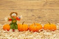 Fall scene with scarecrow and orange pumpkins on straw hay with weathered wood background Royalty Free Stock Photo