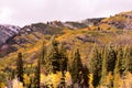 Fall Scene from Solitude Ski Resort