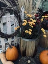 Fall Scene with wagon, flowers and pumpkin Royalty Free Stock Photo