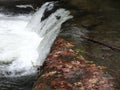 Fall scene in Whatcom Falls Park