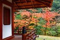 Fall scenery of fiery maple trees in a beautiful Japanese garden in Katsura Imperial Villa in Kyoto Royalty Free Stock Photo