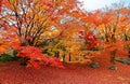 Fall scenery of fiery maple trees in a Japanese garden in Sento Imperial Palace Royal Park in Kyoto Royalty Free Stock Photo