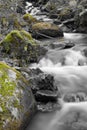 Fall scenery in forest with silky satin soft river flowing in long exposure