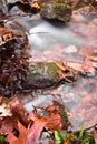 Fall scenery in forest with silky satin soft river flowing in long exposure