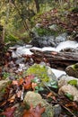 Fall scenery in forest with silky satin soft river flowing in long exposure