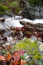 Fall scenery in forest with silky satin soft river flowing in long exposure