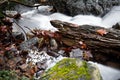 Fall scenery in forest with silky satin soft river flowing in long exposure