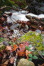 Fall scenery in forest with silky satin soft river flowing in long exposure