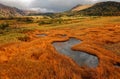 Fall scenery of grassy wetlands on Midagahara Highland in Tateyama Kurobe Alpine Route in Toyama Royalty Free Stock Photo