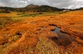 Fall scenery of grassy wetlands on Midagahara Highland in Tateyama Kurobe Alpine Route in Toyama