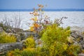 Fall Scenery at High Cliff State Park. Sherwood, WI Royalty Free Stock Photo