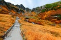 Fall scenery of a hiking path winding in Senjojiki Cirque & the grass turning into golden colors under rugged peaks of Kiso Mounta