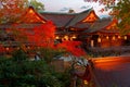 Fall scenery of maple trees with fiery foliage lighted up at dusk & lanterns hung under the eaves