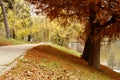 Autumn fall scenery in park