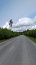 Fall scenic road in the north of Sweden Royalty Free Stock Photo
