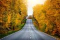 Fall scenic road in Sweden Royalty Free Stock Photo