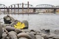 Fall Season Along Portland Willamette River by Marina Royalty Free Stock Photo