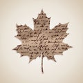 Fall season Autumn maple leaf with writings background EPS10 file.