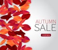 Fall season background with red and orange leaves. Autumn sale typography text for advetising, shopping promotion
