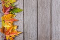 Fall season background, yellow maple leaves Royalty Free Stock Photo