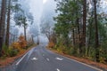 Fall Season Colors With Dense Smoke in Yosemite Park Royalty Free Stock Photo