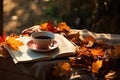 Cup of hot tea and book in the park, autumn leaves , AI Generated Royalty Free Stock Photo