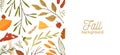 Fall season flat vector background. Autumn botanical colorful banner template with place for text. Dried leaves, twigs