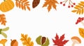Fall season flat vector background. Autumn botanical colorful banner template with place for text. Dried leaves, wild
