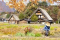 Fall season of Historic Villages of Shirakawa-go and Gokayama, J