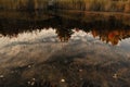 Sky and trees refection off a lake