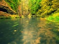 Fall season at mountain river. Green algae in water, colorful autumn leaves. Royalty Free Stock Photo