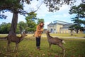 Fall season of Nara city, Japan with nice yellowred color Royalty Free Stock Photo