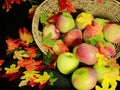 Basket of fresh apples, with colorful fall leaves