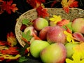 Basket of fresh apples, with colorful fall leaves