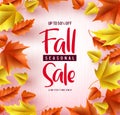 Fall season sale vector banner background. Fall seasonal sale text with colorful maple and oak leaves Royalty Free Stock Photo