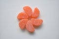 Fall season sugar coated orange slice candy pinwheel shape