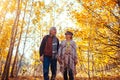 Fall season walk. Senior family couple walking in autumn park. Man and woman spending time together outdoors Royalty Free Stock Photo