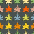 Fall seasonal background, maple leaf seamless pattern